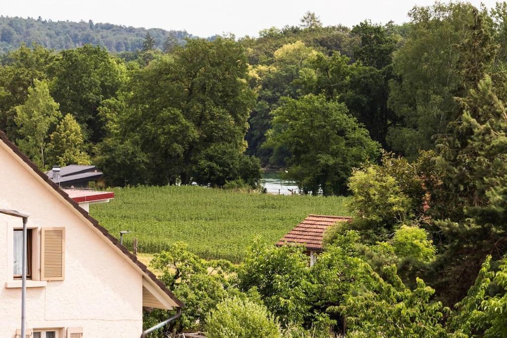 Luxury Apartment On The Rhein Busingen am Hochrhein Esterno foto