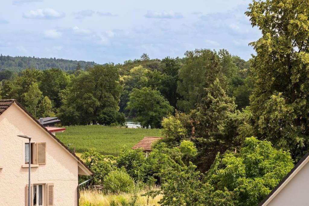 Luxury Apartment On The Rhein Busingen am Hochrhein Esterno foto
