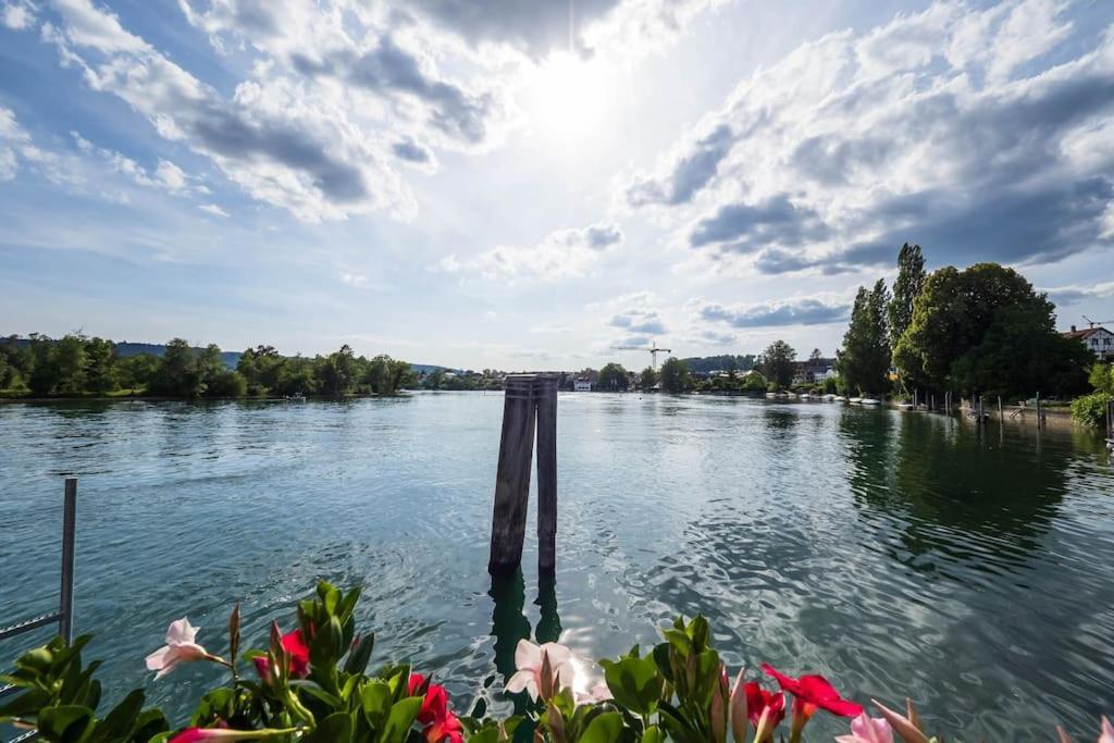 Luxury Apartment On The Rhein Busingen am Hochrhein Esterno foto