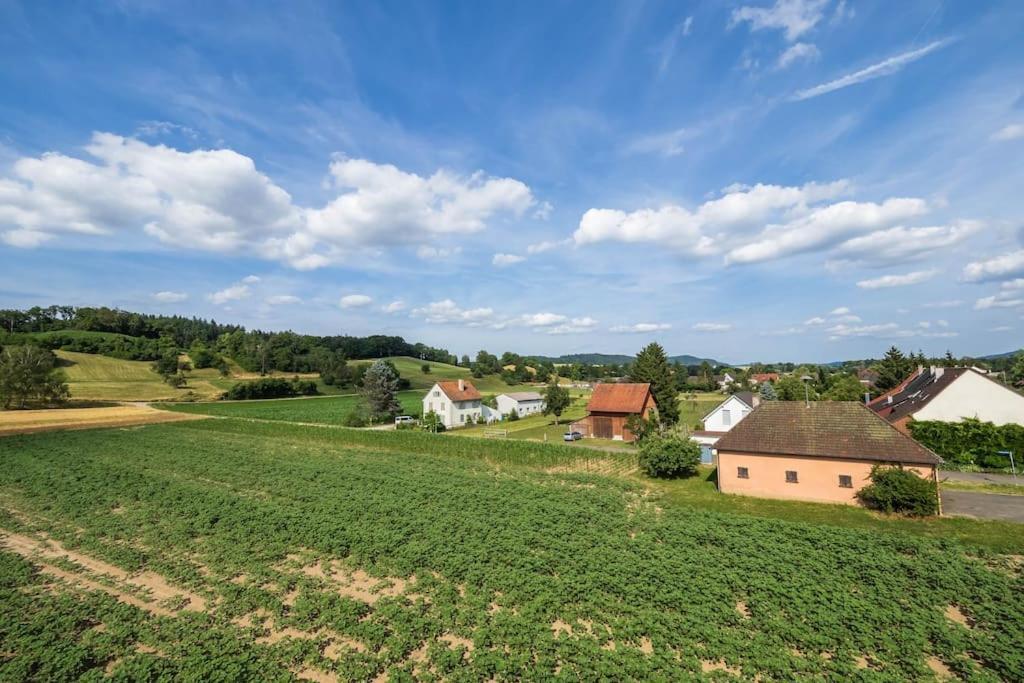 Luxury Apartment On The Rhein Busingen am Hochrhein Esterno foto